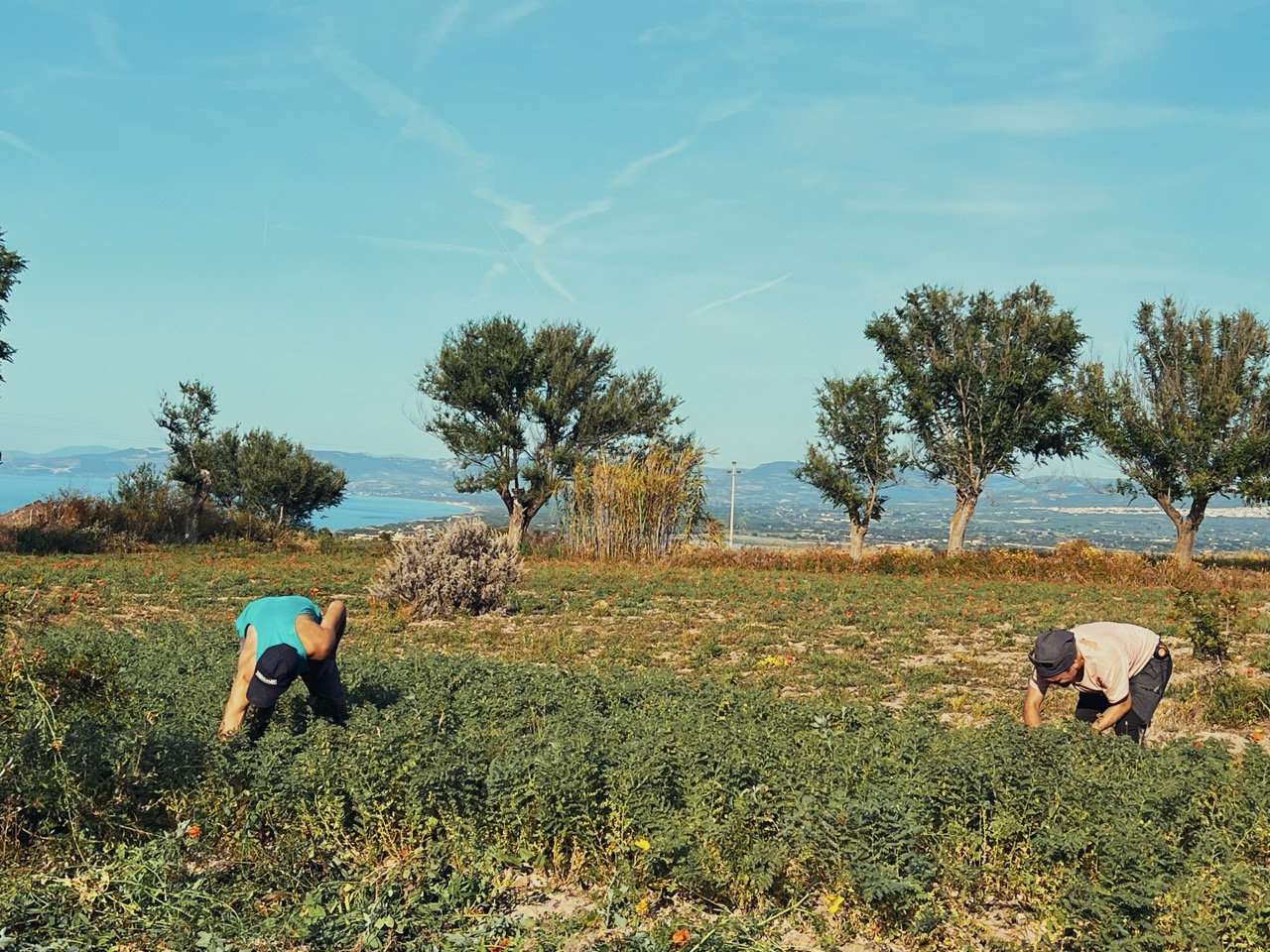 la terra è bassa
